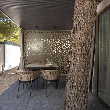 Maris Жаборич